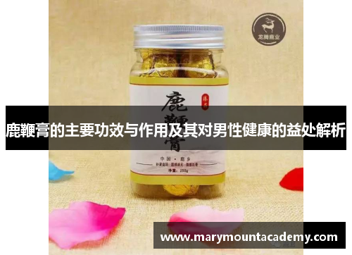 鹿鞭膏的主要功效与作用及其对男性健康的益处解析