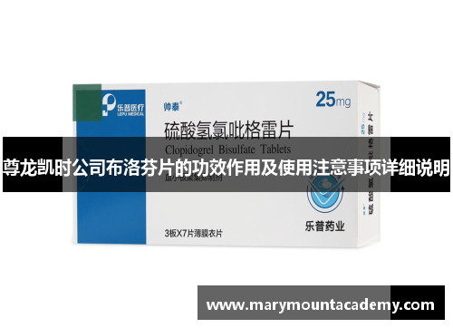 尊龙凯时公司布洛芬片的功效作用及使用注意事项详细说明