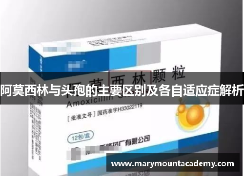 阿莫西林与头孢的主要区别及各自适应症解析