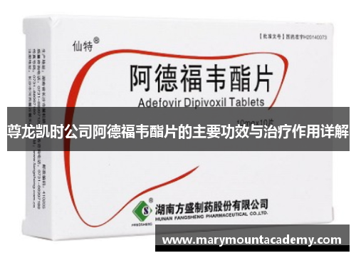 尊龙凯时公司阿德福韦酯片的主要功效与治疗作用详解