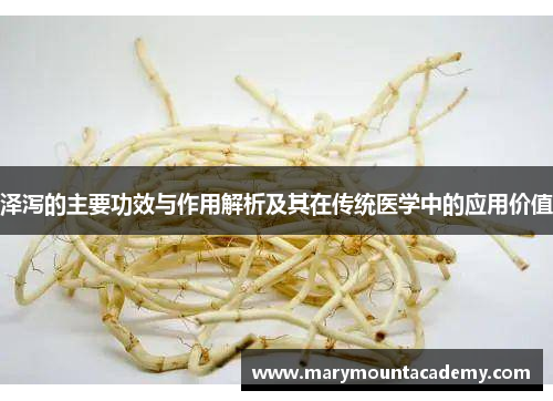 泽泻的主要功效与作用解析及其在传统医学中的应用价值